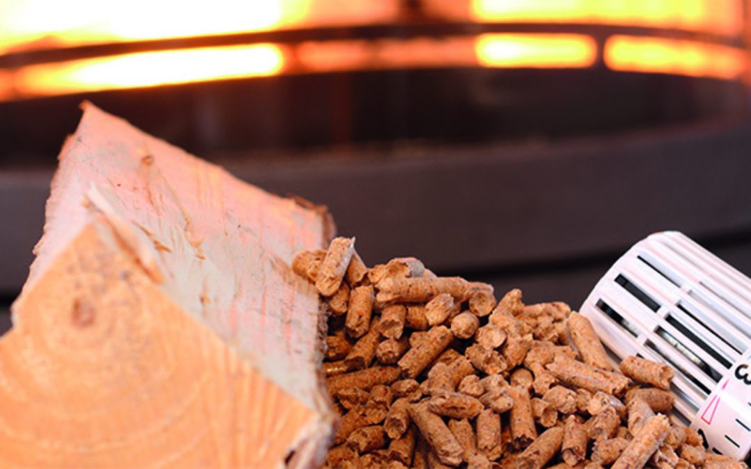 Biomasse – Warum sich eine Investition in Biomasse lohnt.